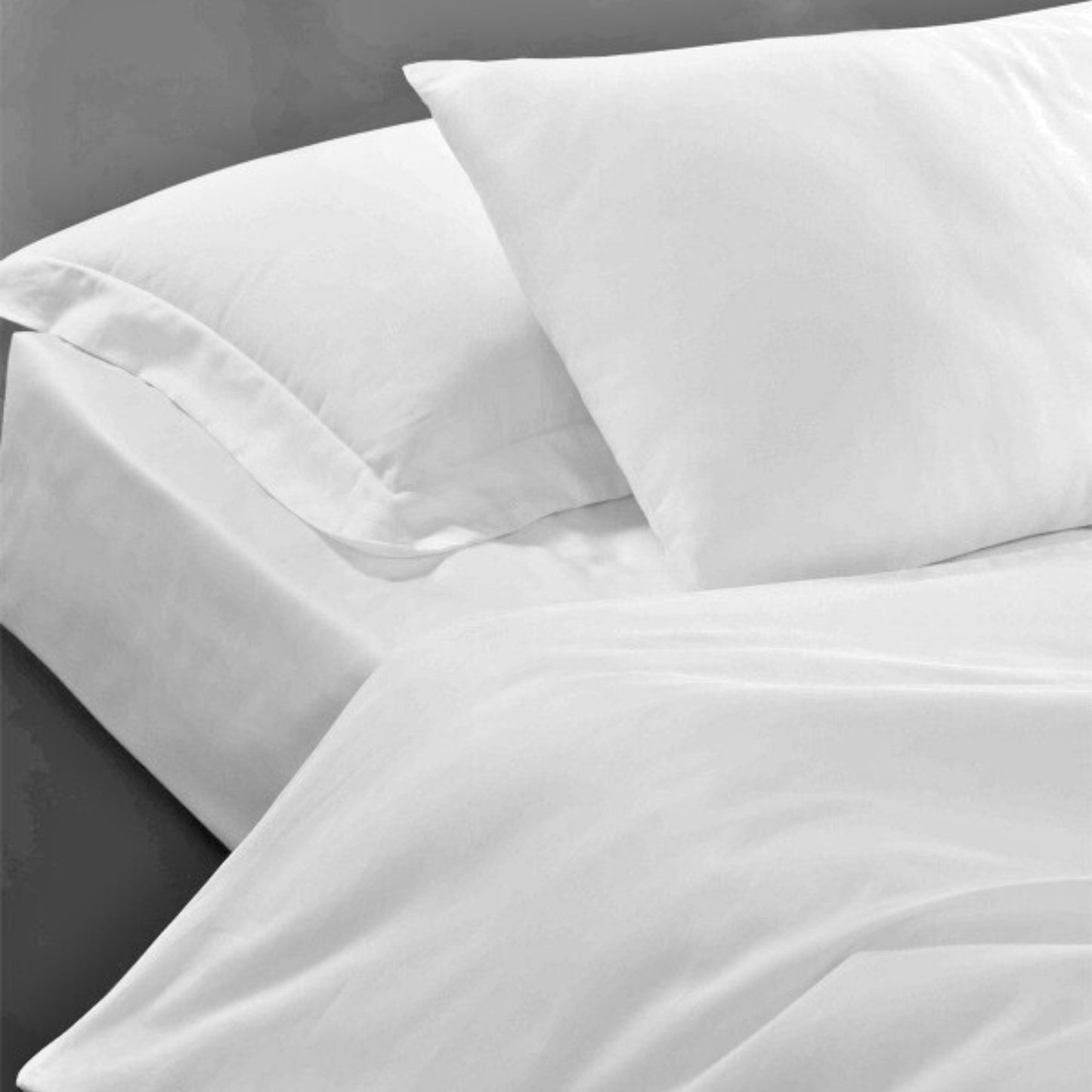 Pan Wholesale Hotel Bed Sheets and Sets, 100% Turkish Cotton by Cottonpolis-1