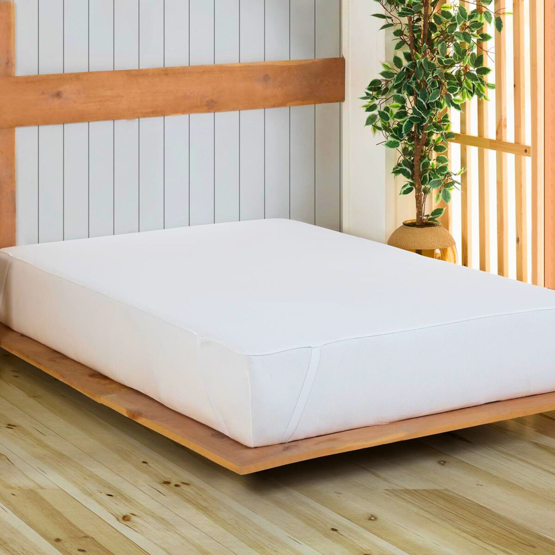 Wholesale Mattress Protector by Cottonpolis-6